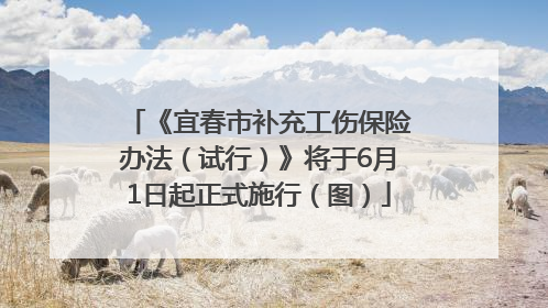 《宜春市补充工伤保险办法（试行）》将于6月1日起正式施行（图）