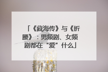 《藏海传》与《折腰》：男频剧、女频剧都在“爱”什么