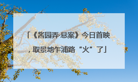 《酱园弄·悬案》今日首映，取景地乍浦路“火”了
