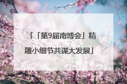 「第9届南博会」精雕小细节共谋大发展