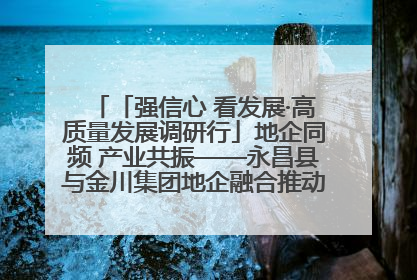 「强信心 看发展·高质量发展调研行」地企同频 产业共振——永昌县与金川集团地企融合推动重大项目建设