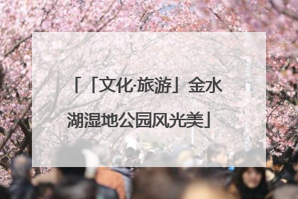 「文化·旅游」金水湖湿地公园风光美