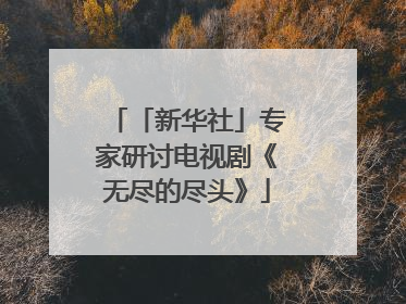 「新华社」专家研讨电视剧《无尽的尽头》