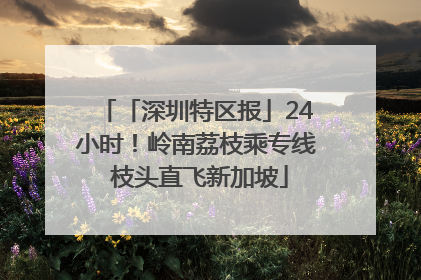 「深圳特区报」24小时！岭南荔枝乘专线 枝头直飞新加坡