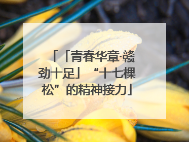 「青春华章·赣劲十足」“十七棵松”的精神接力