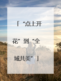 “点上开花”到“全域共美”