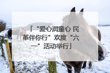 “爱心润童心 民革伴你行”欢度“六一”活动举行