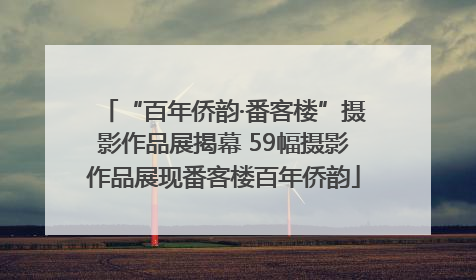 “百年侨韵·番客楼”摄影作品展揭幕 59幅摄影作品展现番客楼百年侨韵