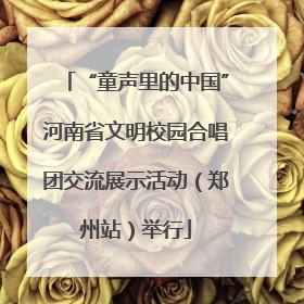 “童声里的中国”河南省文明校园合唱团交流展示活动（郑州站）举行