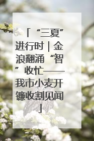 “三夏”进行时｜金浪翻涌“智”收忙——我市小麦开镰收割见闻