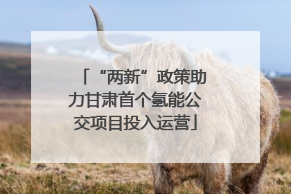 “两新”政策助力甘肃首个氢能公交项目投入运营