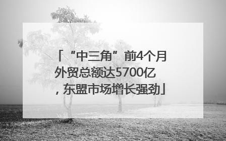 “中三角”前4个月外贸总额达5700亿，东盟市场增长强劲