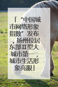 “中国城市网络形象指数”发布，扬州位居东部Ⅱ型大城市第一，城市生活形象亮眼