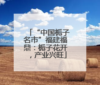 “中国栀子名市”福建福鼎：栀子花开，产业兴旺