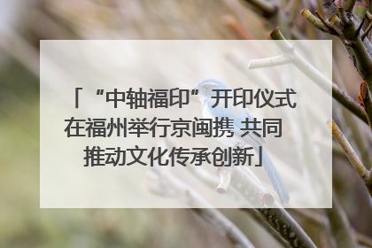 “中轴福印”开印仪式在福州举行京闽携 共同推动文化传承创新