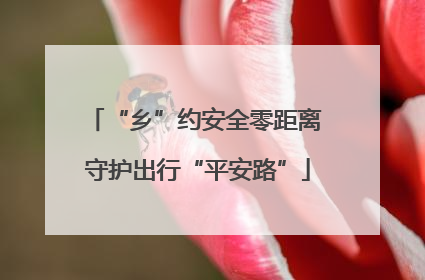 “乡”约安全零距离 守护出行“平安路”