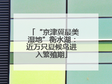 “京津冀最美湿地”衡水湖：近万只夏候鸟进入繁殖期