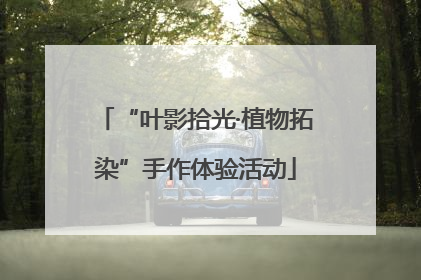 “叶影拾光·植物拓染”手作体验活动