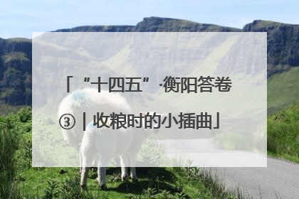 “十四五”·衡阳答卷③｜收粮时的小插曲