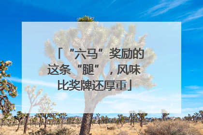 “六马”奖励的这条“腿”，风味比奖牌还厚重