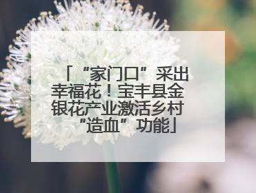 “家门口”采出幸福花！宝丰县金银花产业激活乡村“造血”功能