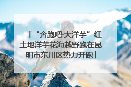 “奔跑吧·大洋芋”红土地洋芋花海越野跑在昆明市东川区热力开跑