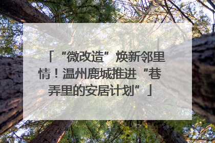 “微改造”焕新邻里情！温州鹿城推进“巷弄里的安居计划”
