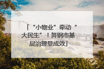 “小物业”牵动“大民生”！舞钢市基层治理显成效