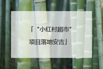 “小红村超市”项目落地安吉