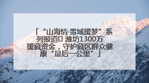 “山海情·雪域援梦”系列报道⑪ 潍坊1300万援藏资金，守护藏区群众健康“最后一公里”