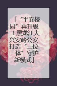 “平安校园”再升级！黑龙江大兴安岭公安打造“三位一体”守护新模式