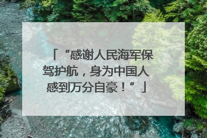 “感谢人民海军保驾护航，身为中国人感到万分自豪！”