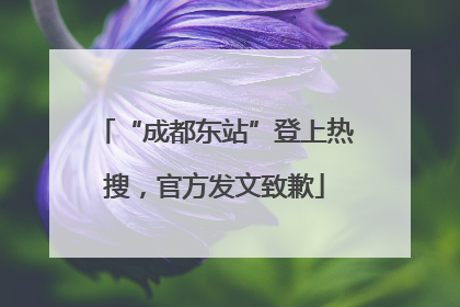 “成都东站”登上热搜，官方发文致歉