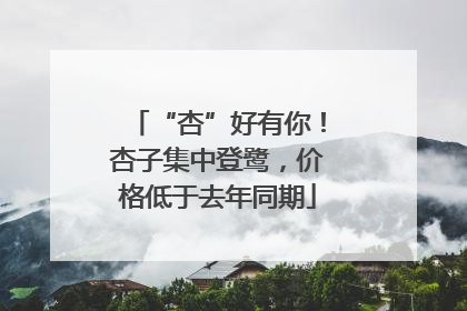 “杏”好有你！杏子集中登鹭，价格低于去年同期