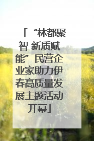“林都聚智 新质赋能”民营企业家助力伊春高质量发展主题活动开幕