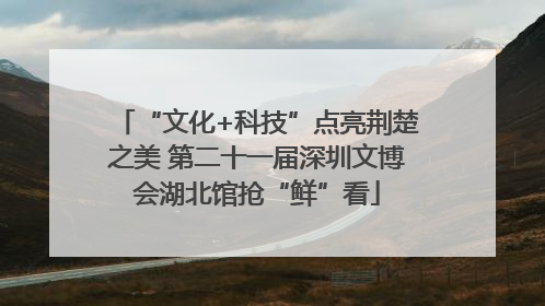 “文化+科技”点亮荆楚之美 第二十一届深圳文博会湖北馆抢“鲜”看