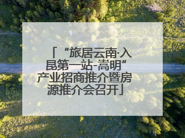 “旅居云南·入昆第一站-嵩明”产业招商推介暨房源推介会召开