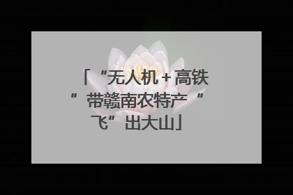 “无人机＋高铁”带赣南农特产“飞”出大山