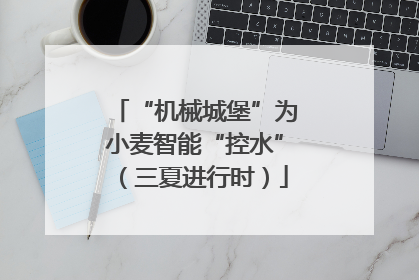 “机械城堡”为小麦智能“控水”（三夏进行时）
