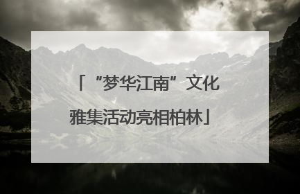 “梦华江南”文化雅集活动亮相柏林