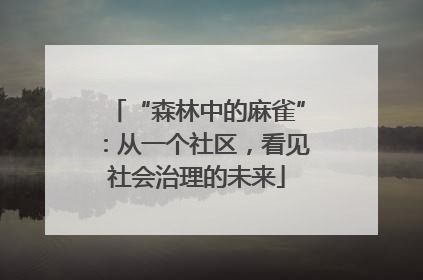 “森林中的麻雀”：从一个社区，看见社会治理的未来