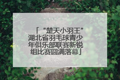 “楚天小羽王”湖北省羽毛球青少年俱乐部联赛新锐组比赛圆满落幕