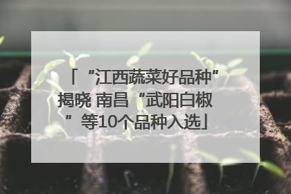 “江西蔬菜好品种”揭晓 南昌“武阳白椒”等10个品种入选
