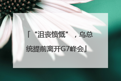 “沮丧愤慨”，乌总统提前离开G7峰会