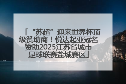 “苏超”迎来世界杯顶级赞助商！悦达起亚冠名赞助2025江苏省城市足球联赛盐城赛区