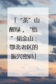“茶”山醒绿，“悟”见金山：鄂北老区的振兴密码