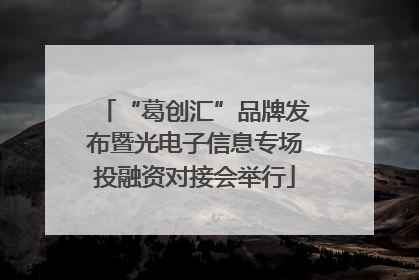 “葛创汇”品牌发布暨光电子信息专场投融资对接会举行