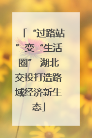 “过路站”变“生活圈” 湖北交投打造路域经济新生态