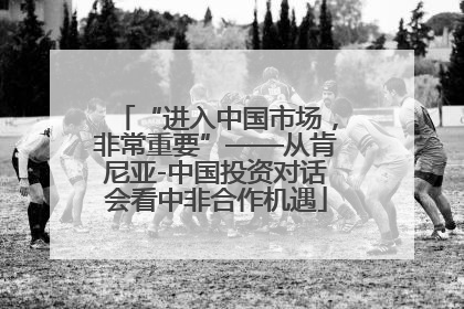 “进入中国市场，非常重要”——从肯尼亚-中国投资对话会看中非合作机遇