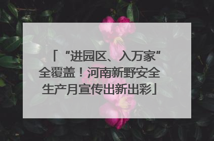 “进园区、入万家”全覆盖！河南新野安全生产月宣传出新出彩